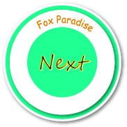 next page
